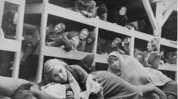 Открыты уникальные документы о судьбах военнопленных — узников Освенцима